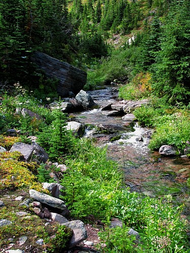 Trail_creek