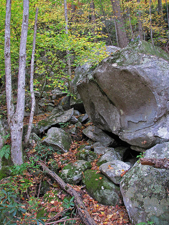 Trailside_boulders