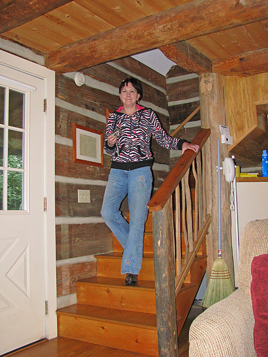 Cabin_stairs