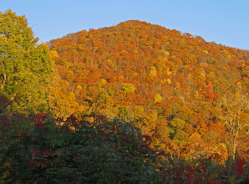 Fall_mountain