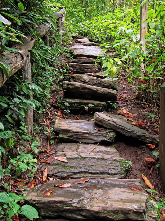 Trail_steps