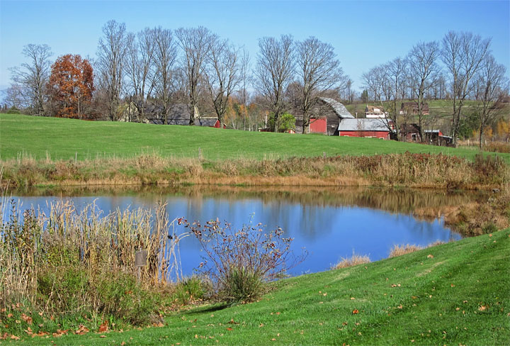 Pond-Barn