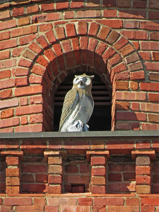Basilica_Owl