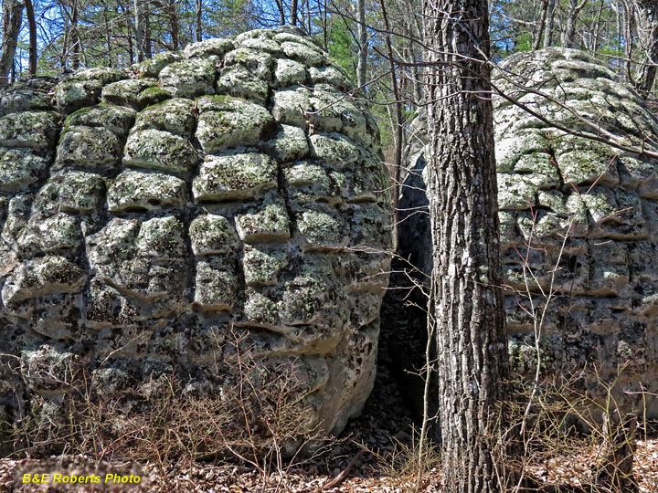 Turtle_boulders
