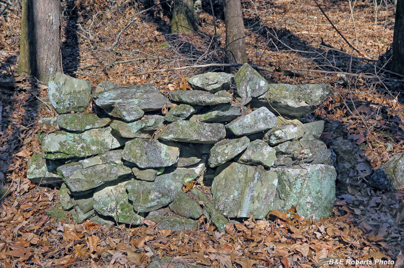 Rock_mound-pile