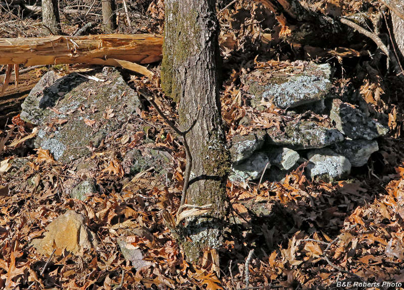 Rock_mound-pile