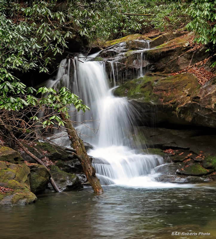 North_Fork_Moccasin_Creek