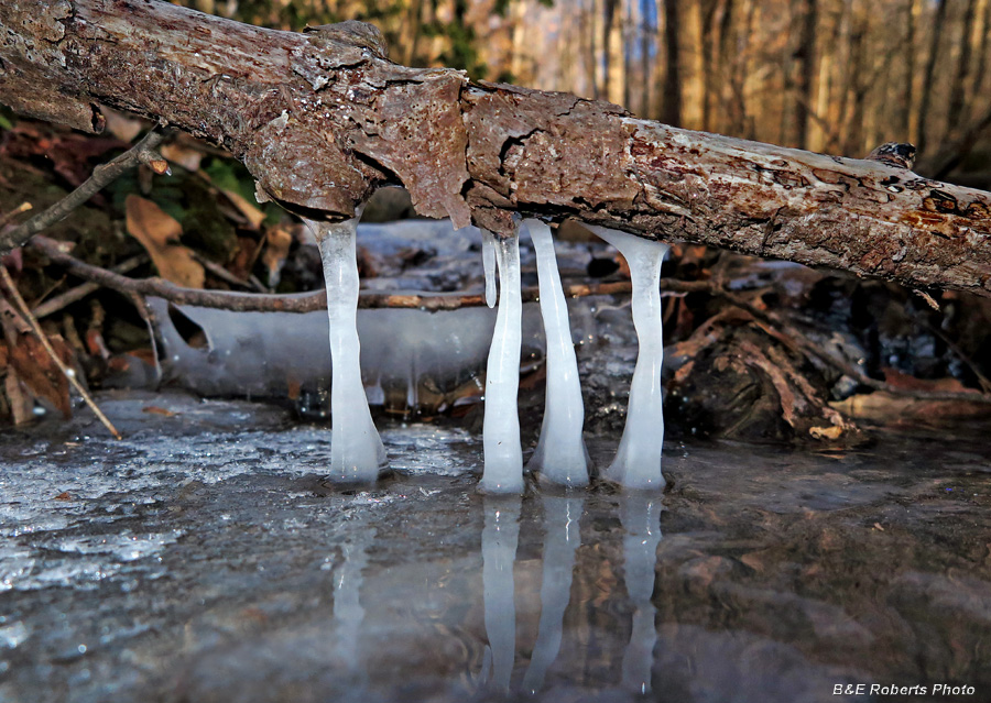 Creek_icicles