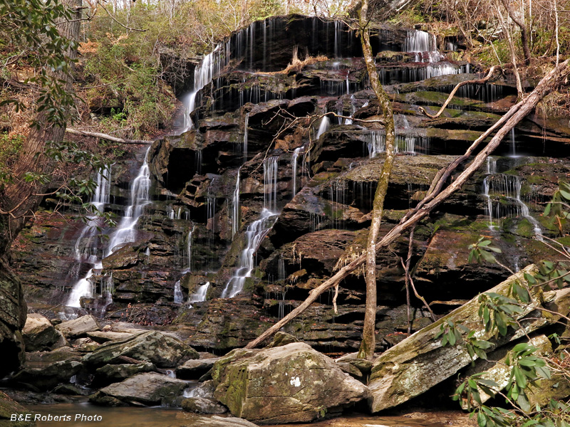 Yellow_Branch_Falls