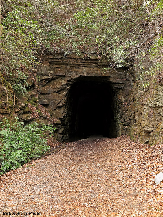 Stumphouse_Tunnel