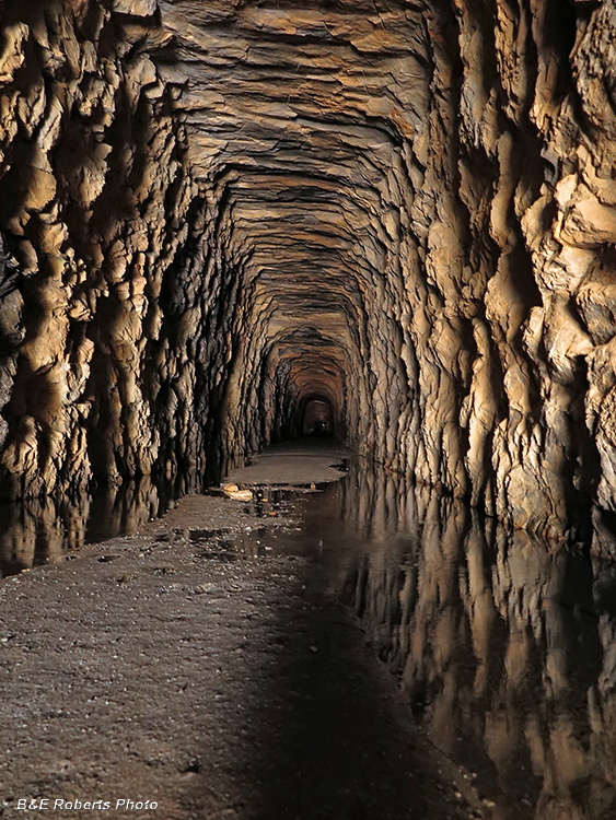 Stumphouse_Tunnel