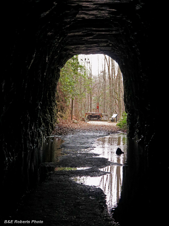 Stumphouse_Tunnel