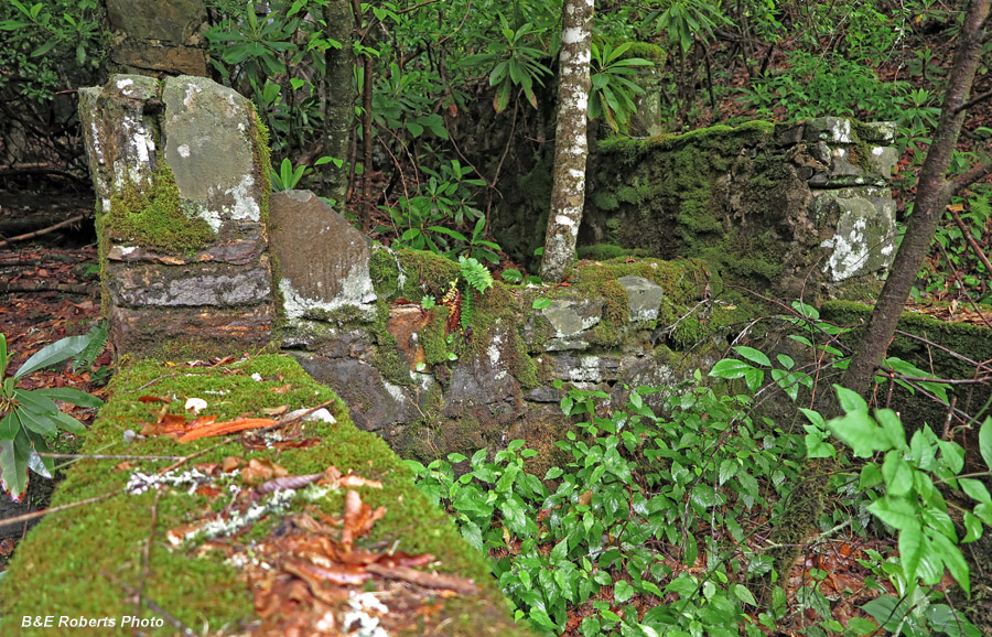 Stone_Structure_from_inside