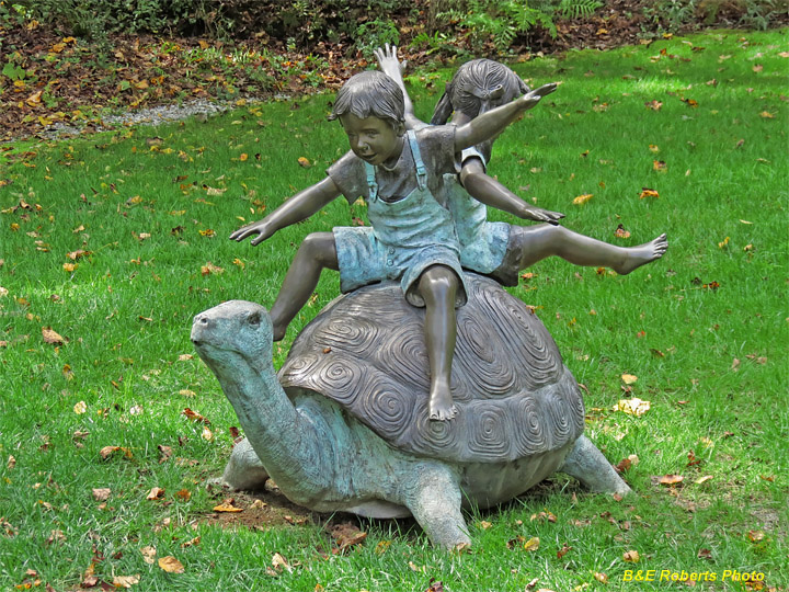 Tortoise_kids