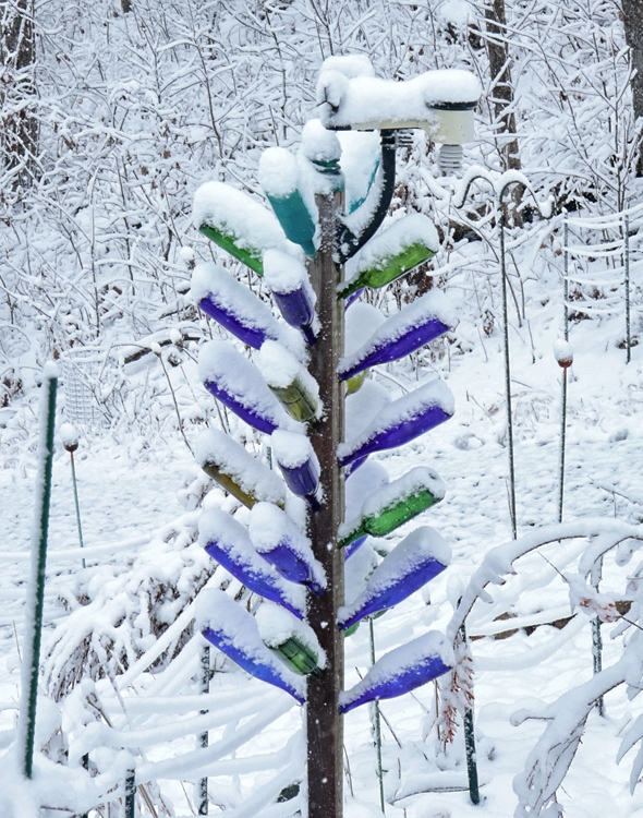Snow-Bottle_tree