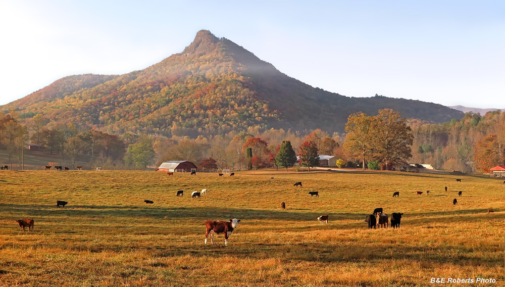 Farm_and_Bell_Knob