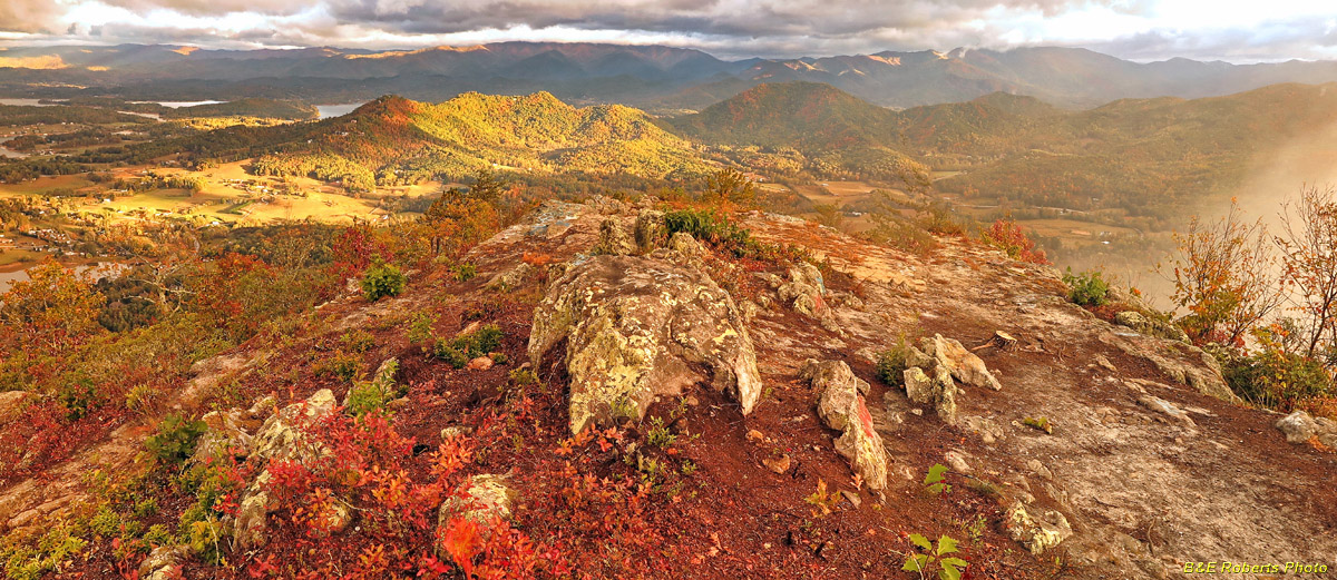 Bell_Knob_view