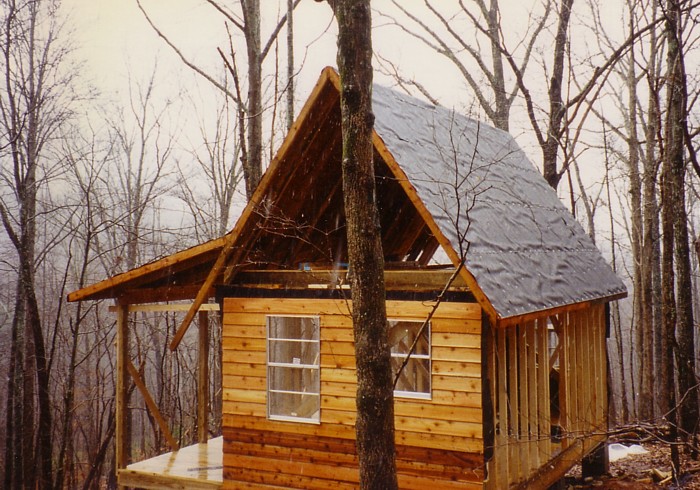 Cabin-construction