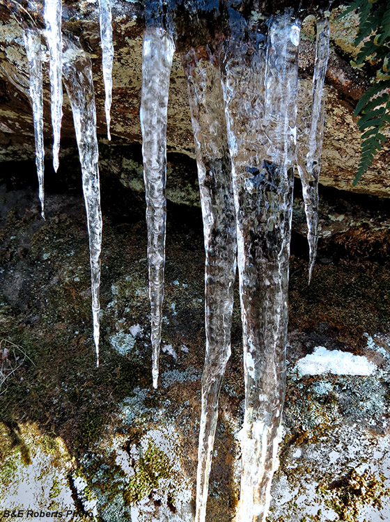 Icicles