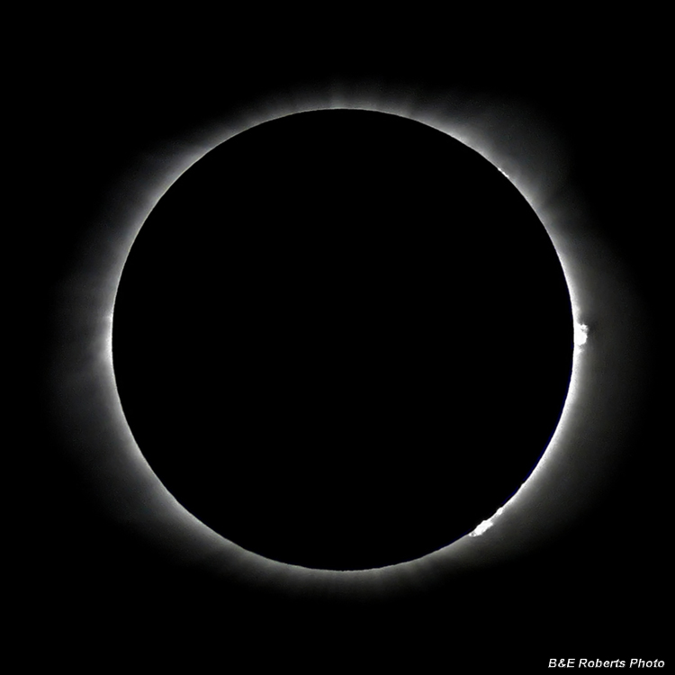 Solar_Prominences