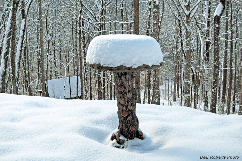 Birdbath