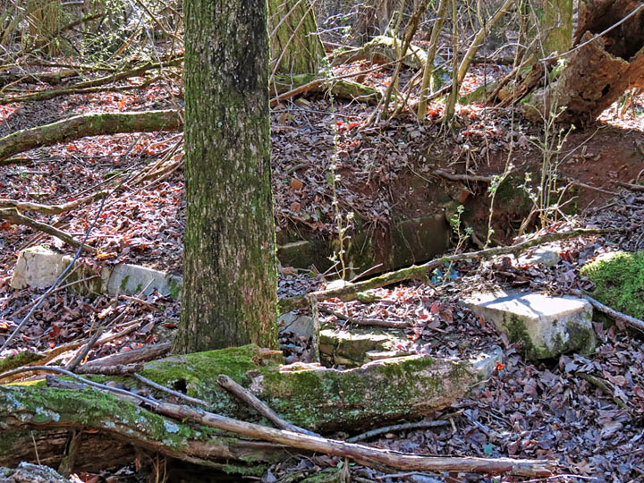 Square_cellar_structure