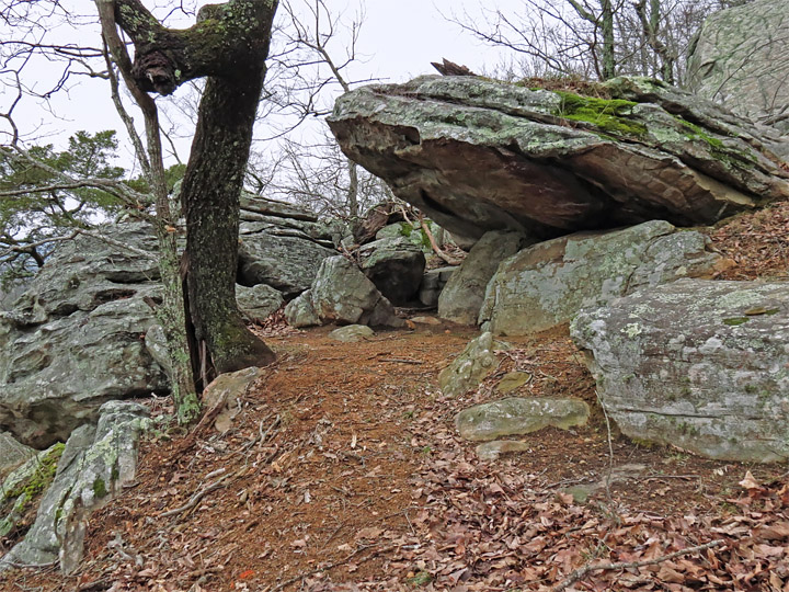 Rock_shelter