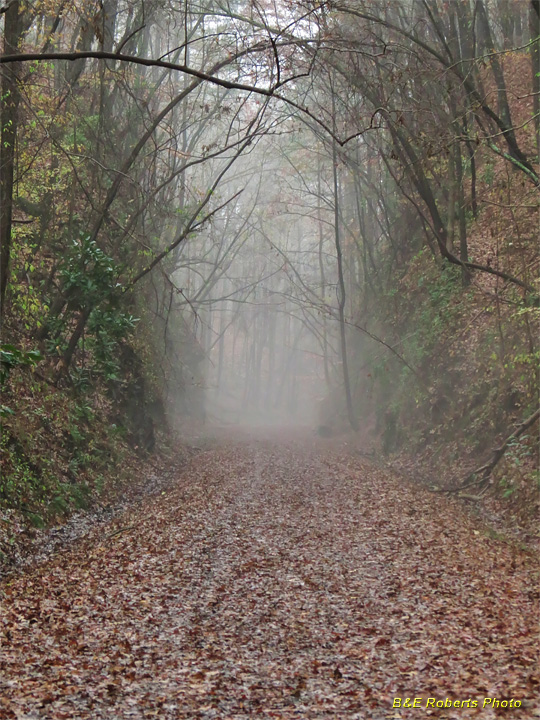 Foggy_Allatoona_Pass