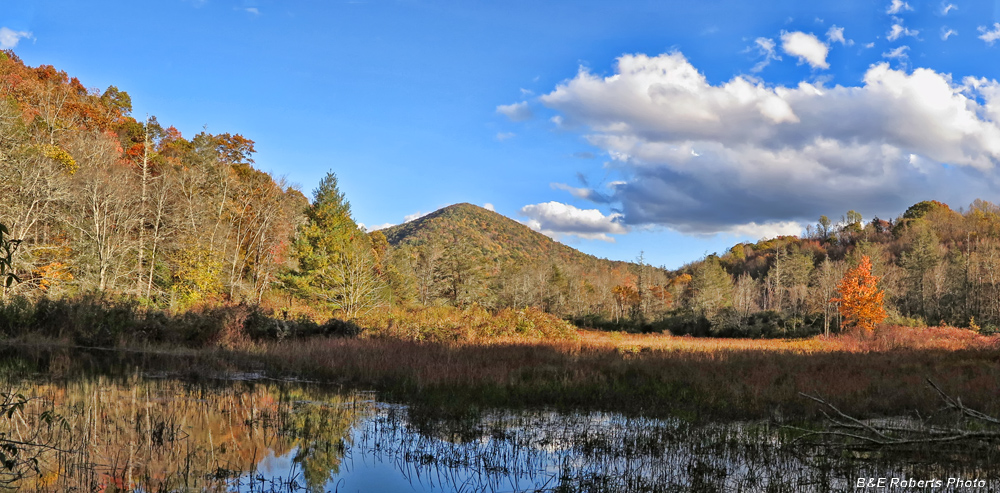 Buck_Creek_pond