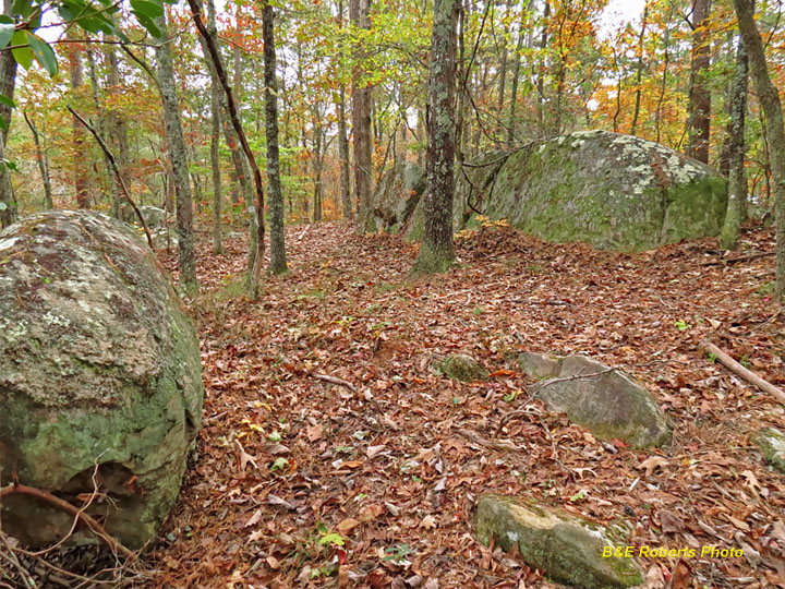 Boulders_woods