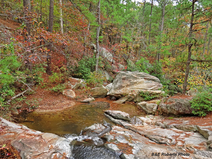 Pumpkinvine_Gorge