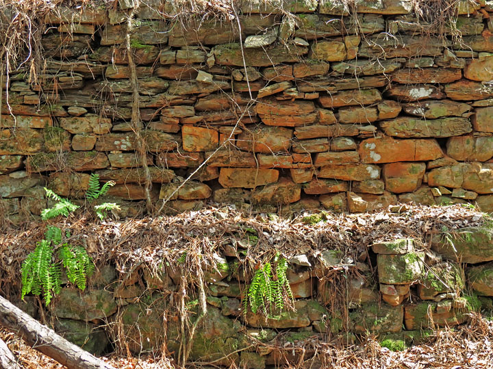 Shelved_wall