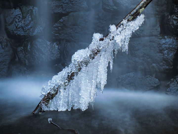 Icy_Branch