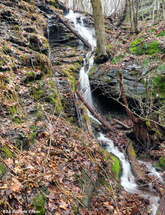 Middle_Falls_detail