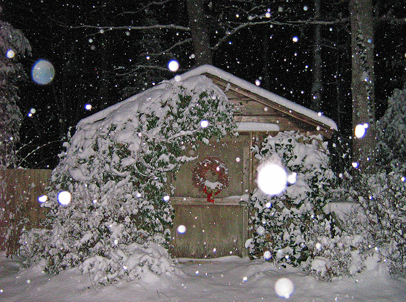 Snow_shed