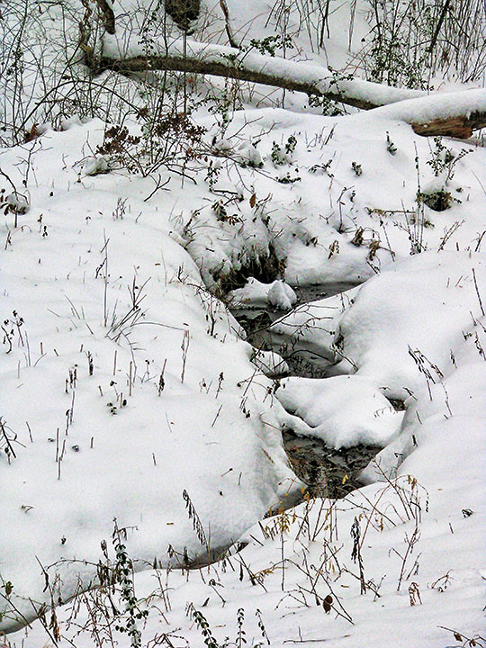 Snowy_creek