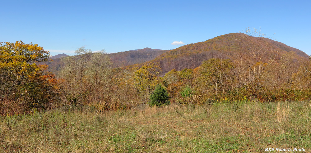 Chestnut_Mtn-View_north