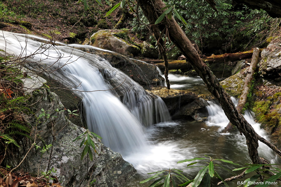 Cascade_above_Lower_Darnell_Falls