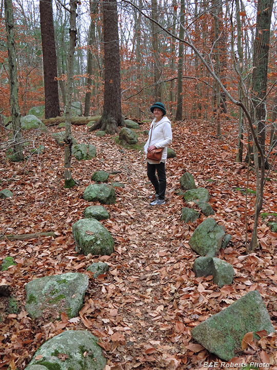 Ravenswood Park - Ravenswood Park