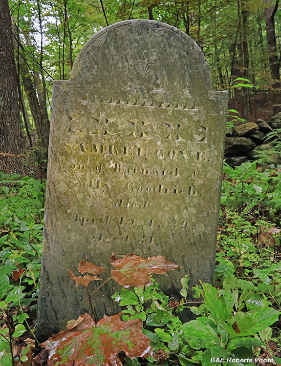 Goodrich_Cemetery