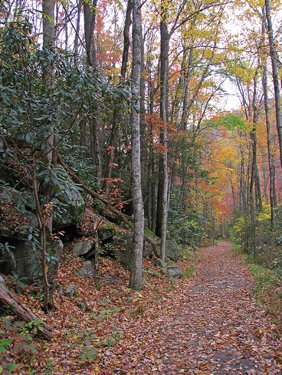 Big_Creek_trail