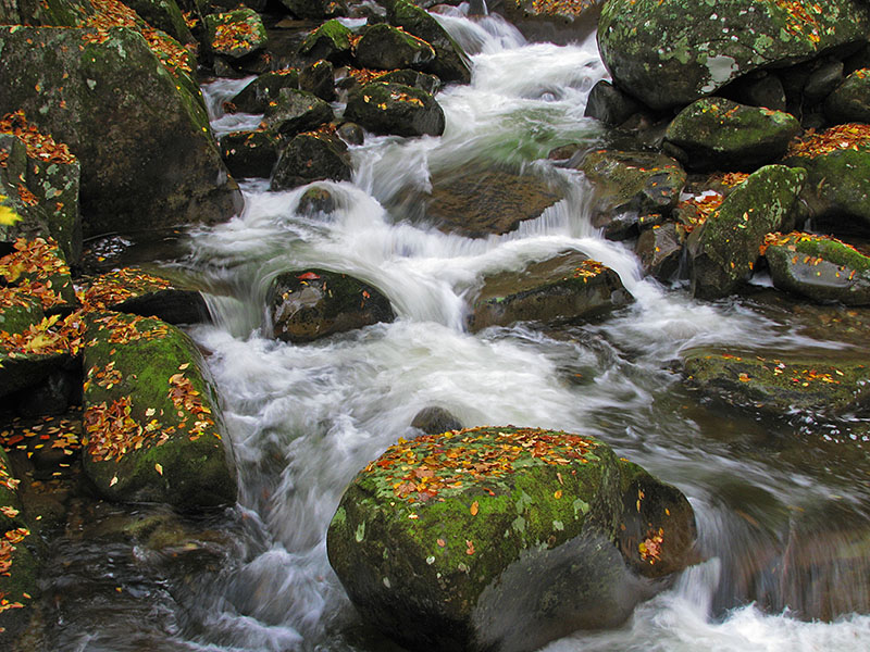 Upstream_ bridge