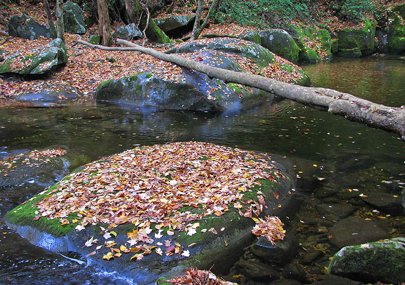 Big_Creek_below_bridge