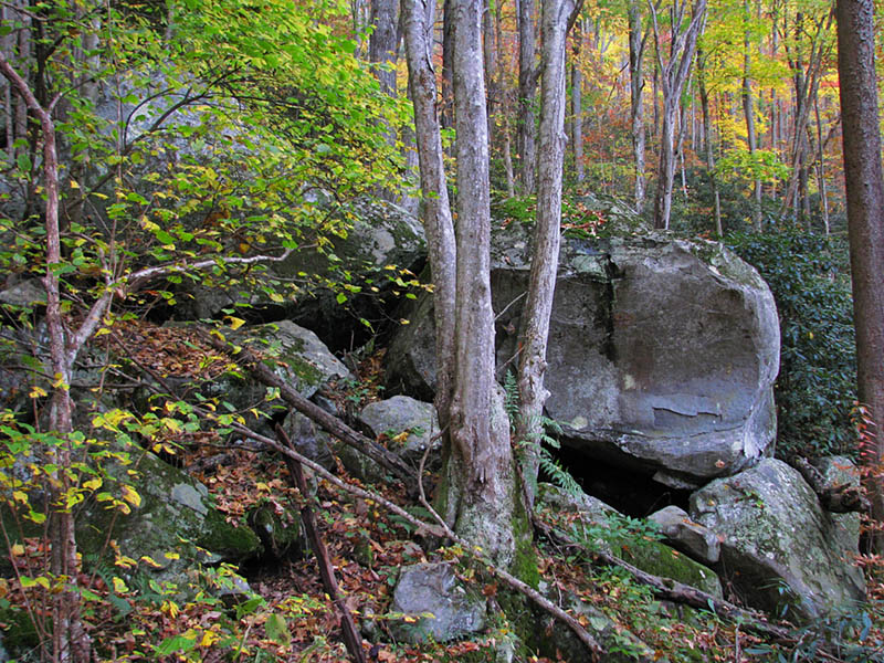 Trail_boulders