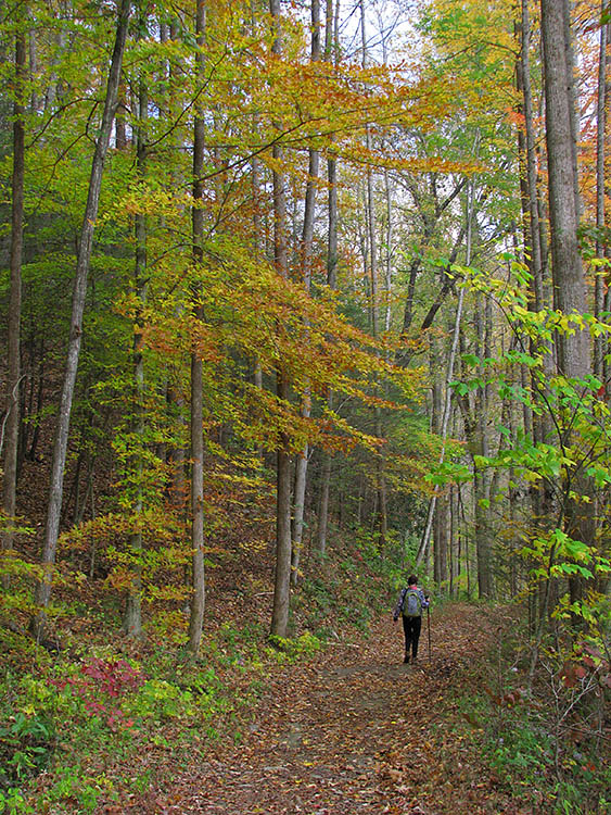 Big_Creek_Trail