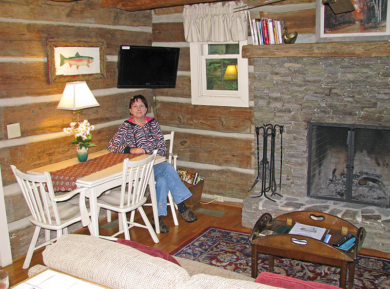 Cabin_interior