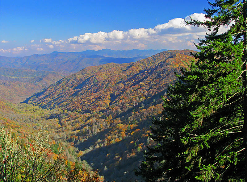 Valley_view
