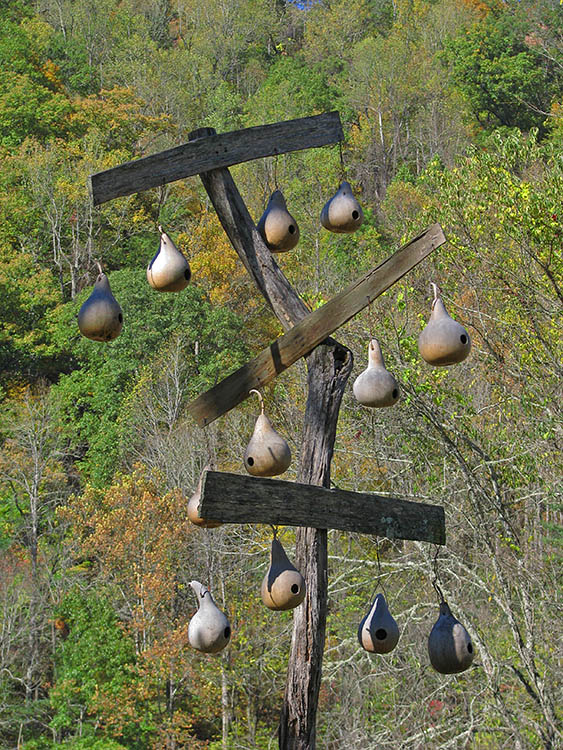 Gourd_birdhouses