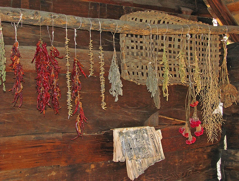 Drying_herbs