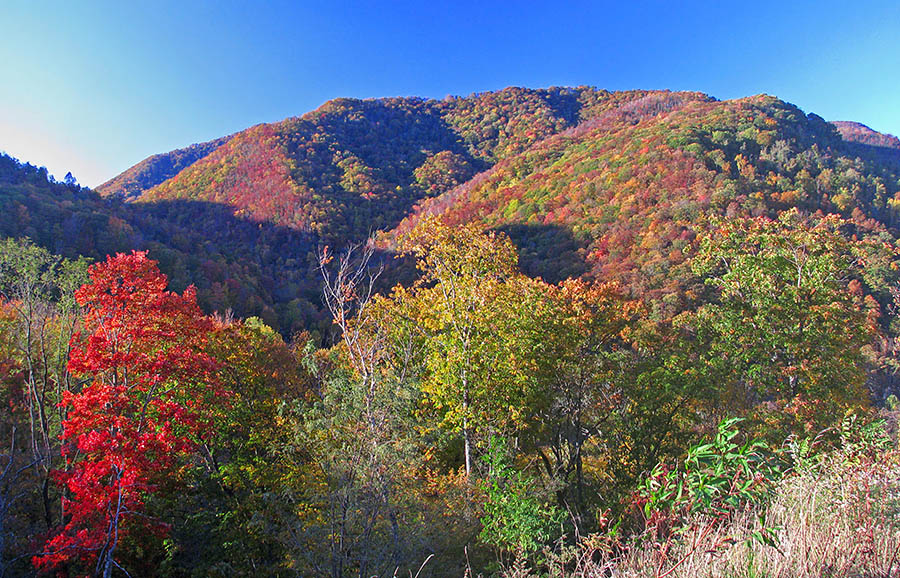 Maggie_Valley_mountains